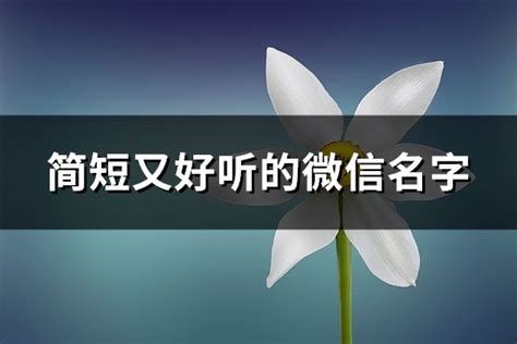 特别的微信名字|2050个简单好听的微信名网名,高雅不俗昵称（41